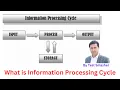 Information processing cycle What is information processing cycle