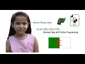 Drawing the national flag of Algeria with Python - TalhaTraining
