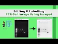ImageJ for Editing Labelling PCR Gel Image Biotechnology
