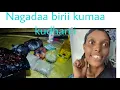 Download Lagu Asteri Fi wanii na ajajee hudaasa si nagaderaa ilalaa 👈 obletii ko 🤝🌹