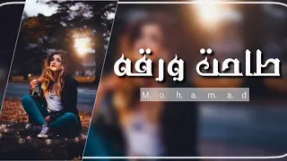 سيف عامر   ورقة  حصريا                                          دندنها