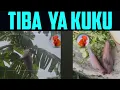 Download Lagu TOTO LA MGOMBA, UA, MAJANI NA MIZIZI YA MGOMBA INATIBU MAGONJWA NA YANA FAIDA NYINGI👆