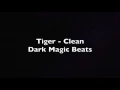 Tiger (Clean) By R3hab, Skytech, and Fafaq