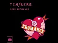Seek Bromance (Avicii’s Vocal Edit) - Tim Berg
