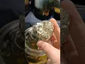 I Definitely Get Why People Call It Fool s Gold