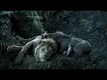 Hakuna Matata - Letra (El Rey León 2019)