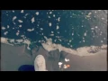 Download Lagu Suneohair - Nakushita Hibi ni Sayonara ( Sakamoto Desu ga ED )