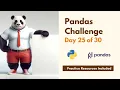 Pandas Library Challenge Day 25 of 30