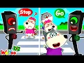 Lagu Sinal Verde Sinal Vermelho – Lucy Aprendem as Regras de Trânsito Brincando! 🚦🏃 ♀️Wolfoo em Português