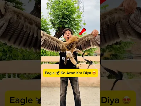 eagle ko jungle me azad kr dia π #minivlog #vlogs