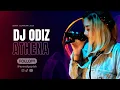 Lagu DJ ODIZ TERBARU 2026 || SENIN 12 JANUARI FULL BASS ATHENA FYP TIKTOK
