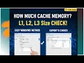How To Check Cache Memory In Windows 10 11