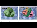 Semantic segmentation in Keras Deep Learning with Python chapter 9