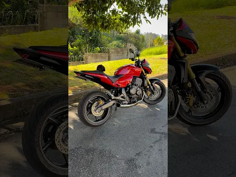 Hornet só o cano