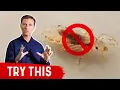 Head Lice Best Home Remedy