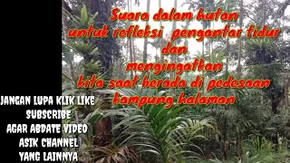 Download Relaksasi  relaxing || suara hutan serangga tonggerek pengantar tidur MP3