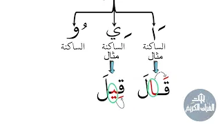 حروف المد الثلاثة بشروطها مع الأمثلة دندنها
