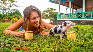 Do we want a Baby PIG? 🐷 (Expedition Drenched S1 Ep21)