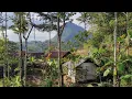 Download Lagu BIKIN RINDU KAMPUNG HALAMAN SURGA TERSEMBUNYI DI PEDESAAN JAWA BARAT