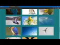 Image Search Engine