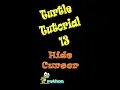 Turtle Tutorial 13 Hide Cursor