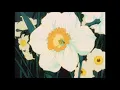 castlebeat - change your mind (slowed to perfection)