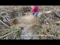 Lagu BREAKING UP BEAVER DAM THREATENING ROAD! 11/2025