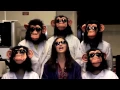 Download Lagu The Lab Song (Bruno Mars Parody)