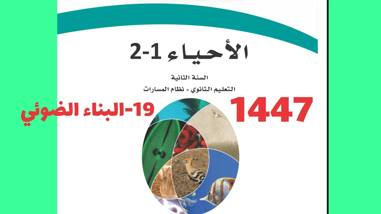 ١٩- البناء الضوئي ( أحياء ثاني ثانوي 1447 )