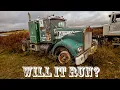 Saved from the CRUSHER Will this ABANDONED Kenworth w900a ever run again