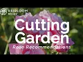 Roses for a Cutting Garden Rose Recommendations