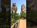 Download Lagu T rex chase dinosaur jurassic world. #shorts #shortsvideo #youtubeshorts #dinosaurs #dinosaurus