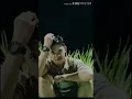Download Lagu pip pip calon mantu\