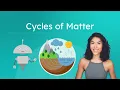 Cycles of Matter - Water Carbon Nitrogen and Phosphorus Cycles Explained
