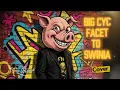 Lagu Facet to Świnia – Big Cyc (Soft Rock Cover 2025) | Cover-Maniak 🐷🎸