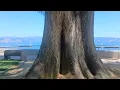 Lakeport California
