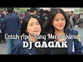 Download Lagu ENTAH APA YANG MERASUKIMU (Versi DJ Gagak) Lyrics 2019
