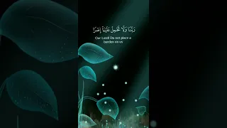 امن الرسول بما انزل اليه من ربه سعود الشريم 