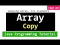 Copying Array and its Elements Java Programming