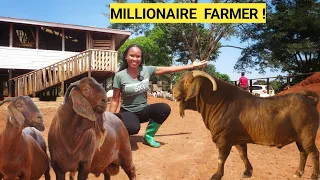 Building A Simple Goat House & Goat's Best Feeds! 2026!
