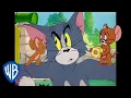 Tom Jerry How to Cat-ch a Mouse Classic Cartoon Compilation WB Kids