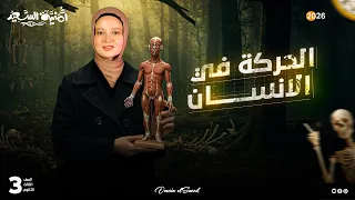 شرح الحركة في الانسان تركيب العضلة الانقباض العضلي الاجهاد والشد العضلي 2026 
