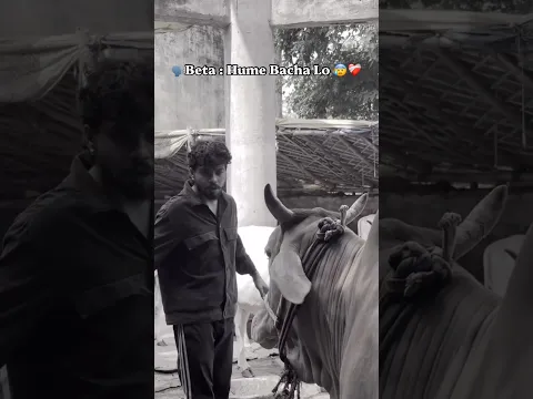 बहुत बड़ा संकट आ गया है 😰💔 #gaumata #love #help #animals #humanity #helping #viralvideo