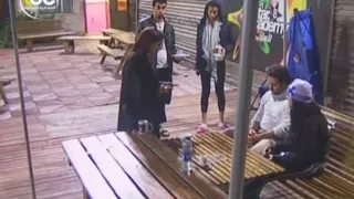 يوميات ستار اكاديمي 8 اليوم 70 