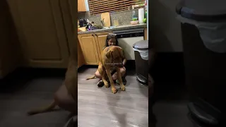 Walinilazimisha Nifanye Mapenzi Na Mbwa Tizama Hii Video Kwa Makini 12 