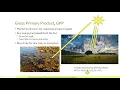 Ecosystem Ecology GPP NEP and Re