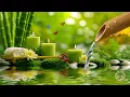 Lagu Beautiful Relaxing Music and Bamboo Water Sounds 🌿 Meditation Music Relax Mind Body, Stress Relief