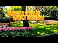 Download Lagu PART #2 KEUKENHOF GARDEN AMSTERDAM || LARGEST TULIP 🌷 FARM||
