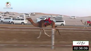 الشوط 2 خيره لـ سيف سالم سيف الدرعي 6 12 78 شارة الاتحاد 2021 10 29 لقايا الرقيعات 