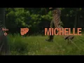 The Beatles - Michelle - 2026 Mix (Visualiser)